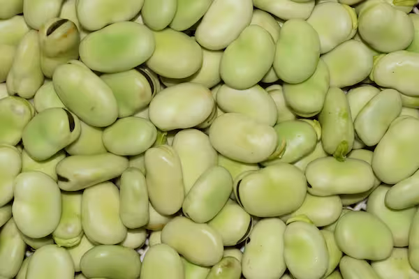 そら豆のミント炒め 生ハム入り